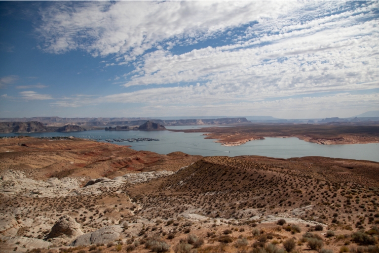 LAC POWELL.002